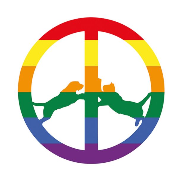 Hype Williams: Rainbow Edition