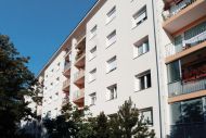 Brezglave sanacije