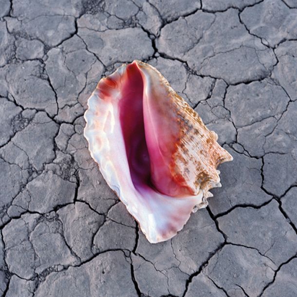The Killers: Wonderful Wonderful