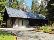 Pahor noče v brunarico