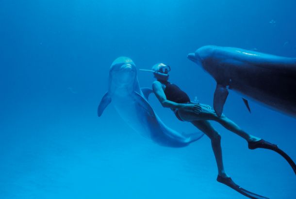 Človek delfin