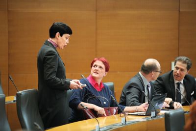Poslanka SDS Jelka Godec