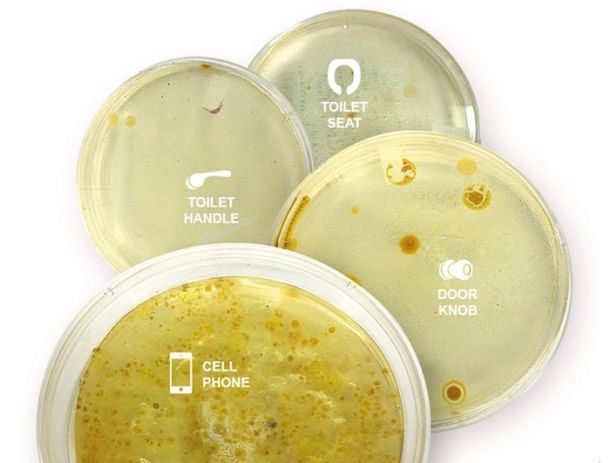 Različno število bakterij: na ročaju od vrat, sedežu straniščne školjke, ročaju straniščnih vrat in na pametnem telefonu 