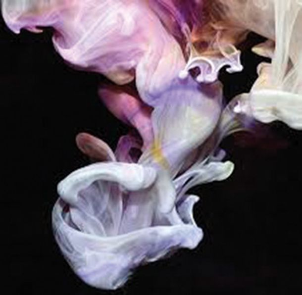 Simian Mobile Disco: Murmurations