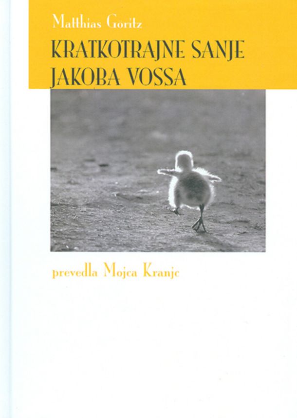Mathias Göritz: Kratkotrajne sanje Jakoba Vossa