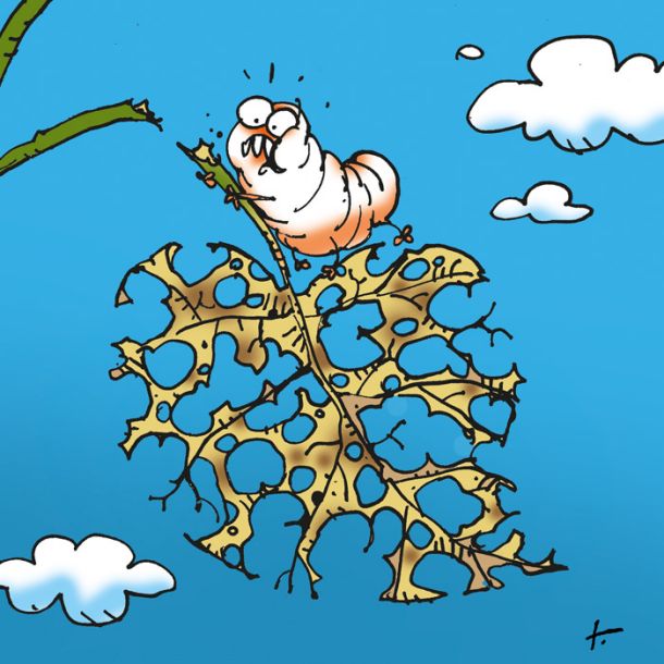 Bolezen