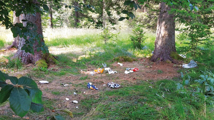 Okrnjena narava pri Bloškem jezeru