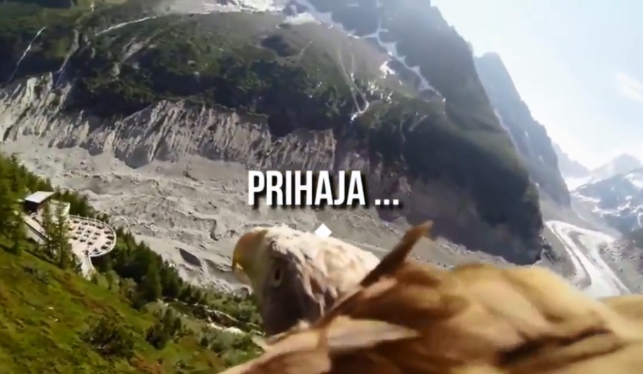 Prihaja ... orel, ki ne leti nad Slovenijo.