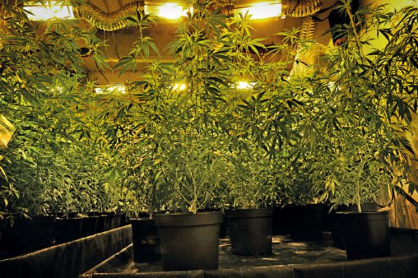 Sramežljiva legalizacija