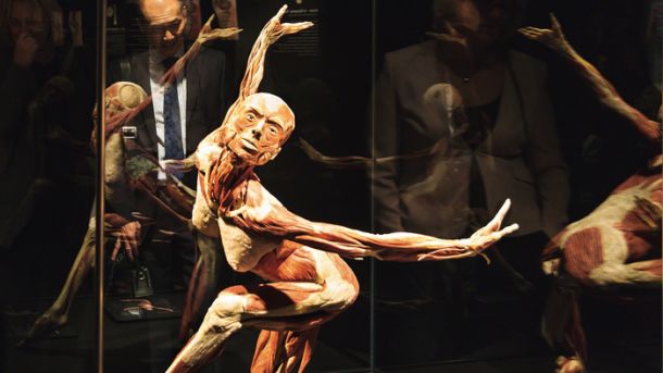 Body Worlds Vital, Gospodarsko razstavišče, Ljubljana