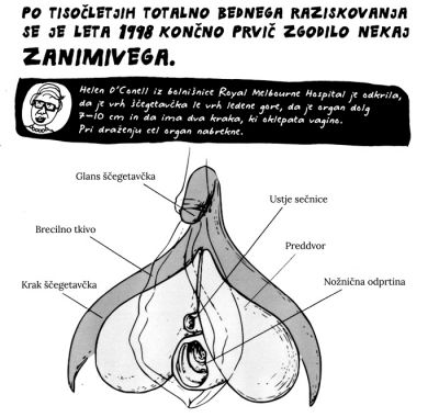 Del stripa, ki nam razloži, kaj je ščegetavček in kako je sestavljen.