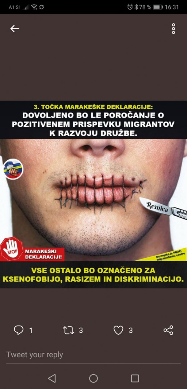 Resnicoljubna interpretacija Marakeške deklaracije v spletnem kraljestvu SDS