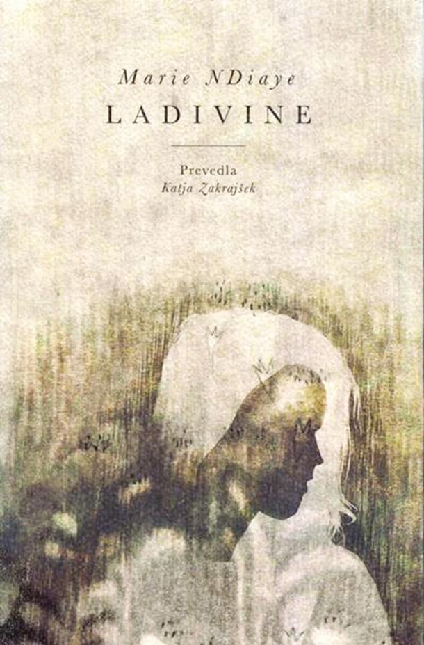 Marie NDiaye: Skrivnostna prehajanja