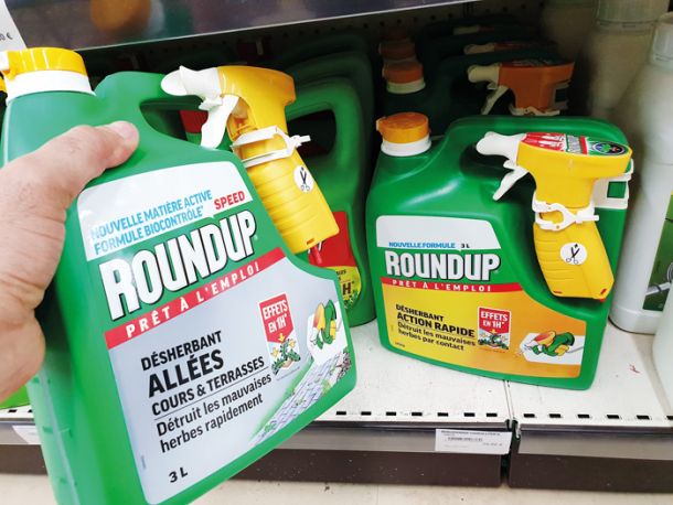 Herbicid RoundUp, ki naj bi bil zaradi glifosata po mnenju porotnikov odgovoren za pojav rakavih obolenj 