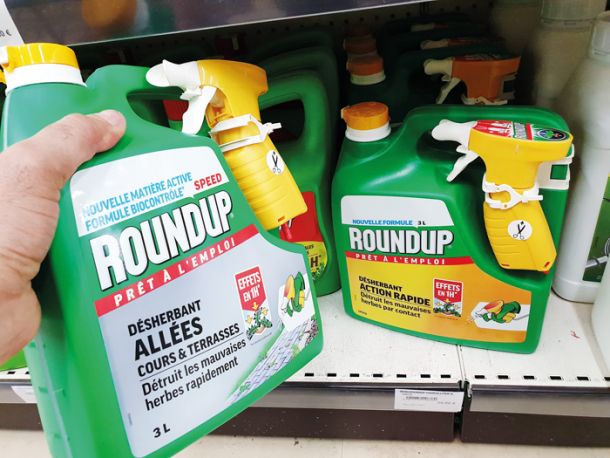 Herbicid RoundUp, ki naj bi bil zaradi glifosata po mnenju porotnikov odgovoren za pojav rakavih obolenj 