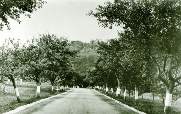 Jablane, na katere so Nemci februarja 1945 obesili 98 ljudi, za zločin je med drugim odgovoren Kurt Stage 