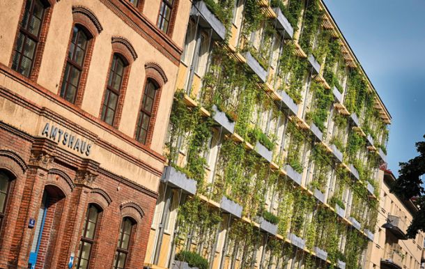 Zelene fasade na Dunaju, ki naj bi ohlajale mesto 