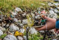 Mikroplastika ne onesnažuje le oceanov, ampak tudi polja