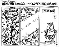 Izjave tedna