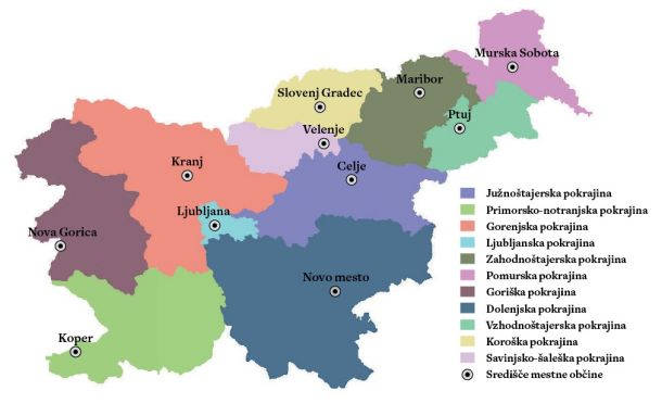 Predlagano razkosanje Slovenije na enajst pokrajin z mestnimi občinami kot središči. Razdelitev je marsikje sporna: zakaj je recimo Ljubljana odrezana od svojih primestnih občin, in kako to, da zasavske občine spadajo pod Celje. Bistveno očitek predlogu je v (pre)velikem številu pokrajin. 