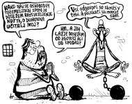 Izjave tedna