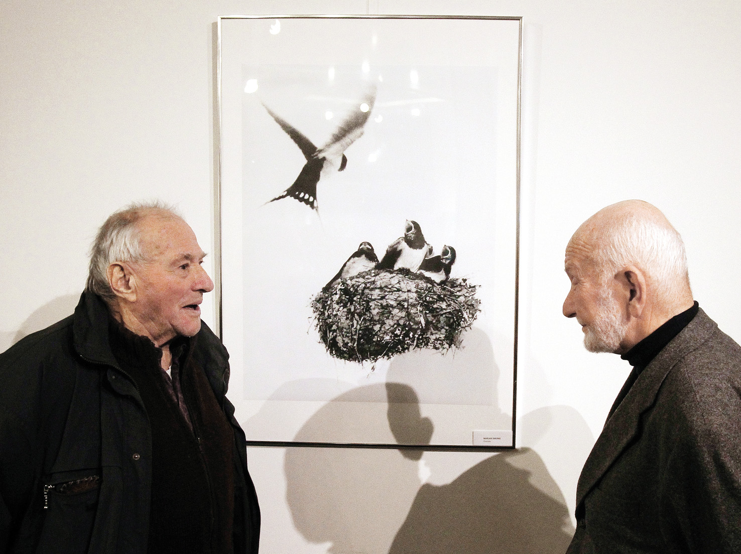 Janez Korošin in Oskar Karel Dolenc; razstava ob izidu monografije »88 – FKL«, Fotoklub Ljubljana, Galerija Krka, LJ | Igor Modic