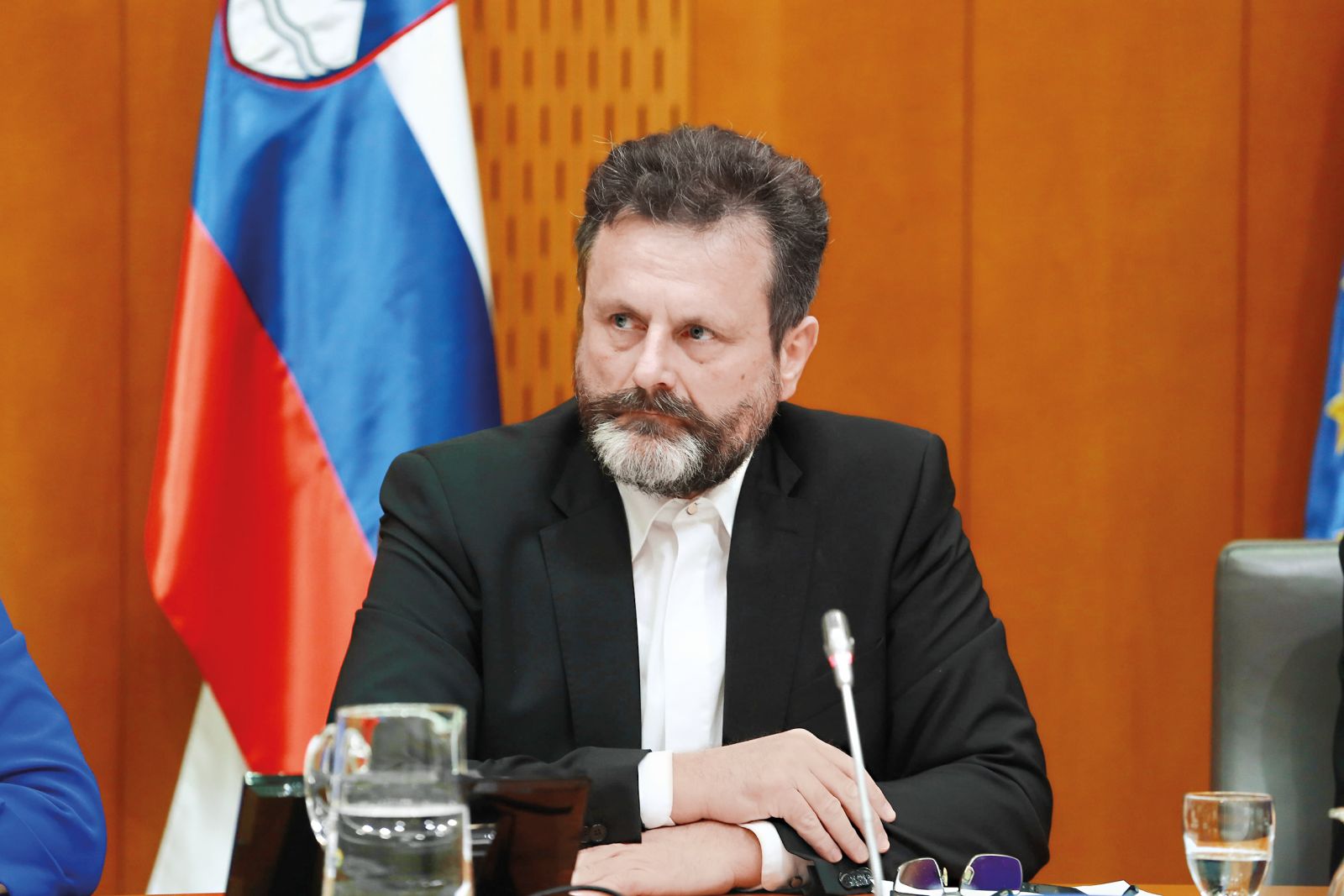 Robert Polnar, samosvoji poslanec Desusa
