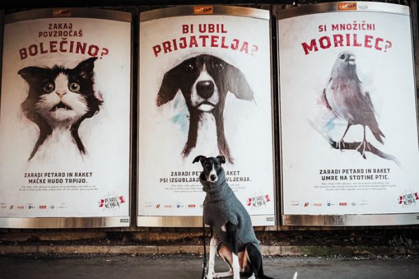 Družbena akcija „Petarde? Ne hvala!“, ki jo je v decembru 2018 izpeljala družba TAM-TAM v sodelovanju z agencijo Luna TBWA, kot protest proti prednovoletnemu pirotehničnemu nasilju. 