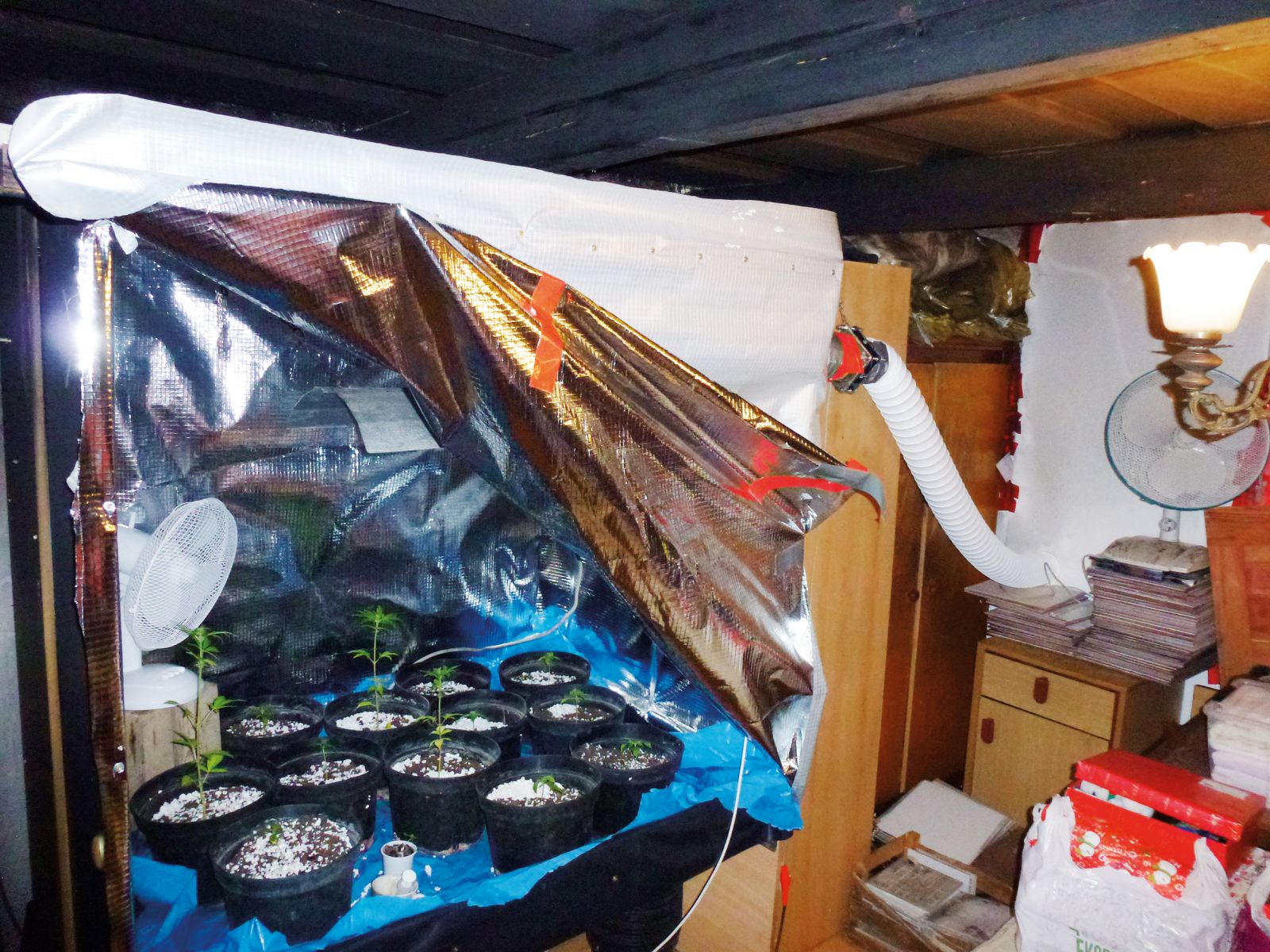 Prirejeni prostor za gojenje konoplje 