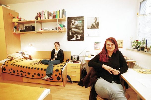 Cimri v študentskem domu
