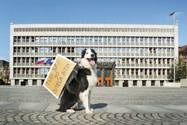 Protest proti ignoriranju zahtev samozaposlenih