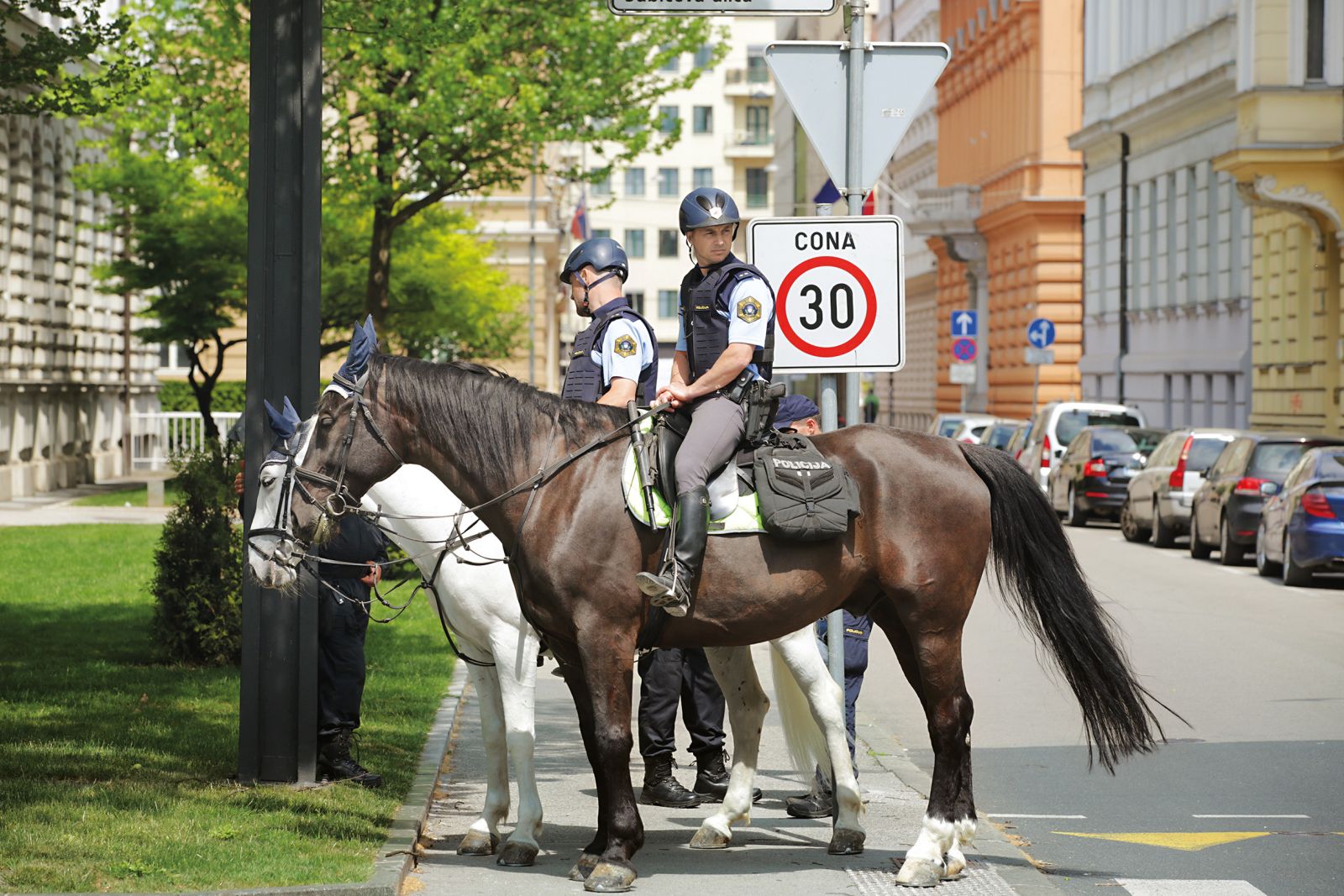Če psi ne bodo dovolj, bodo pomagali še konji.