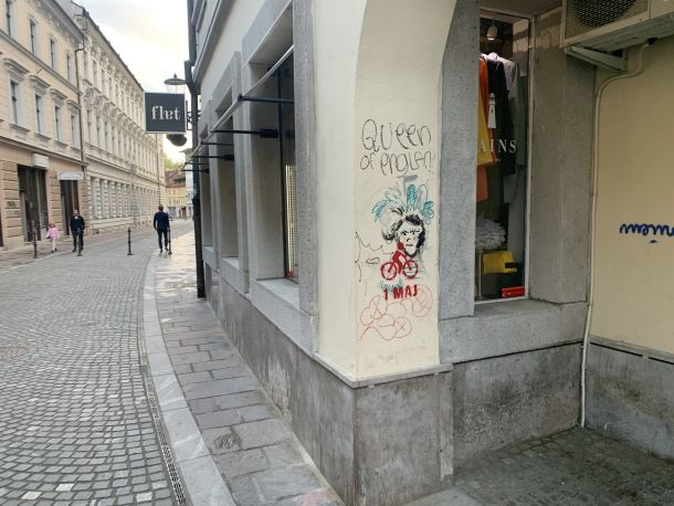 Slika 250978