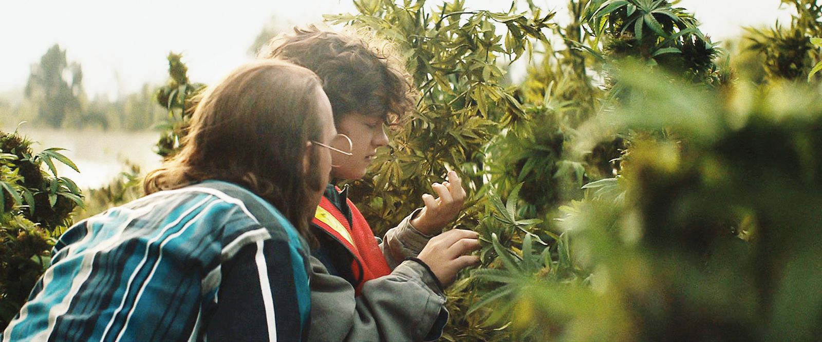 Honey Boy: Shia LaBeouf igra očeta – svojega strupenega kreatorja, svojega lunatičnega motivatorja, svojega toksičnega tirana.