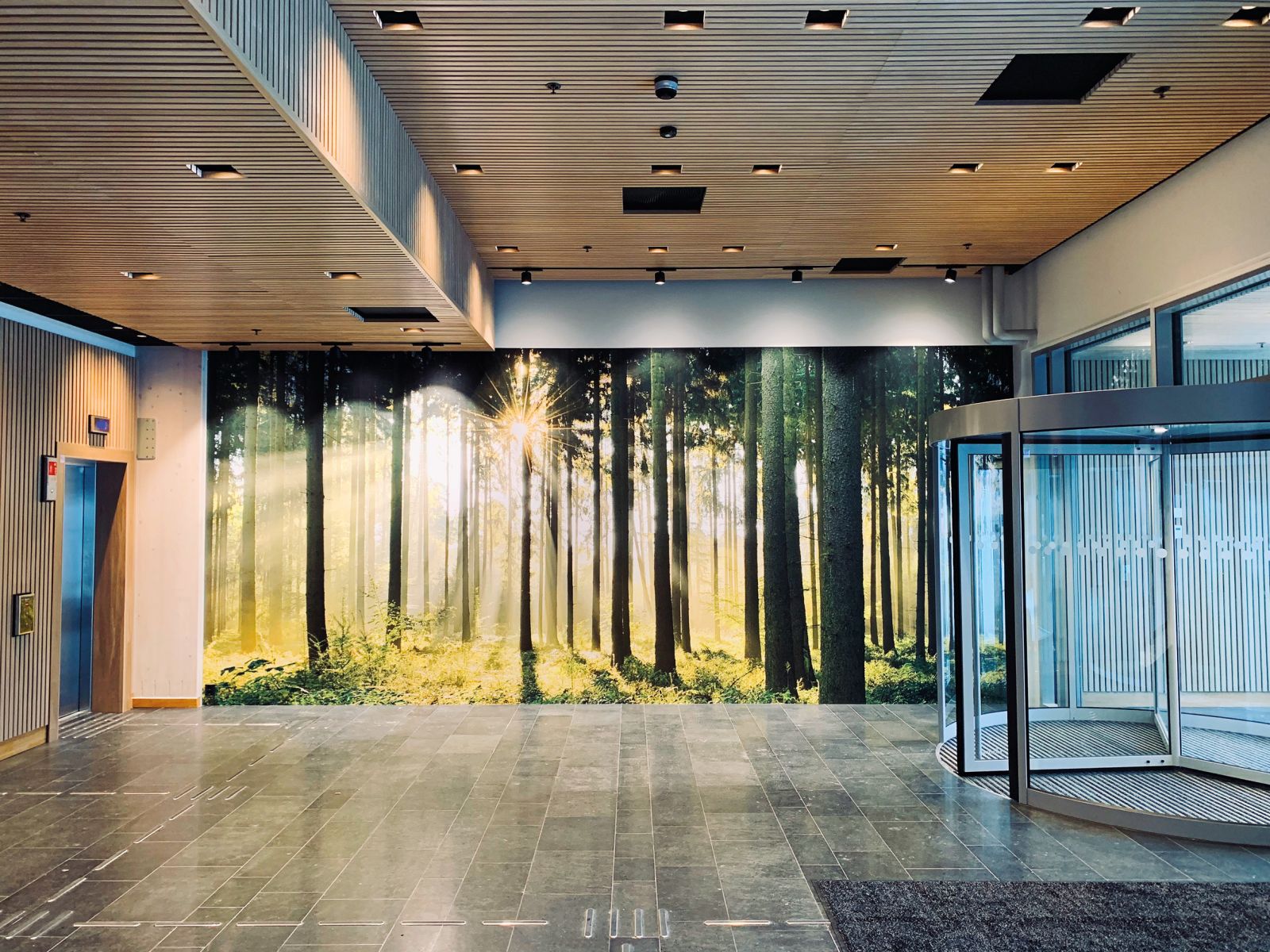 Resnična prednost lesene gradnje je v njeni zmožnosti, da zmanjša ogljični odtis stavb