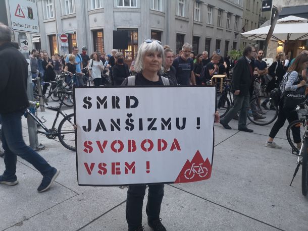 Iznajdljiva protestnica