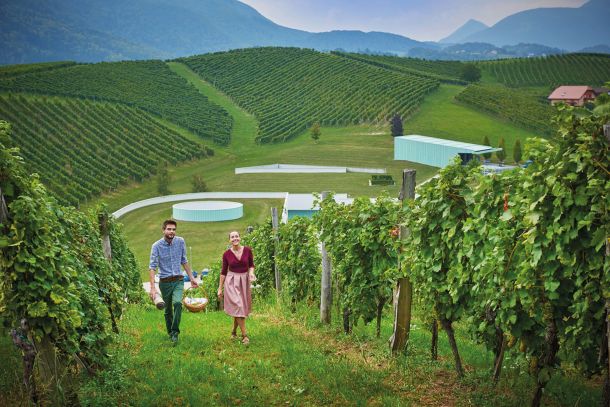 Vinska klet na Zlatem Griču nad Slovenskimi Konjicami je vkopana v hrib, med vinogradi so vidne bele linije fasadnih elementov