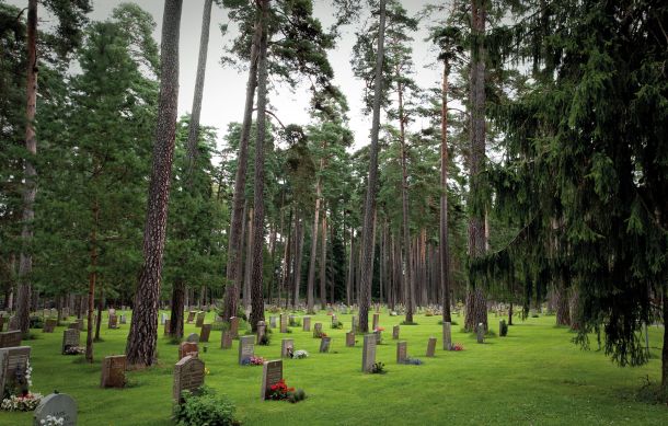 Stockholmsko pokopališče Skogskyrkogården je značilen predstavnik »gozdnega pokopališča«. Grobovi so umeščeni pod visokorasla drevesa in nimajo vidno zamejenih parcel, ampak jih prerašča trata.  