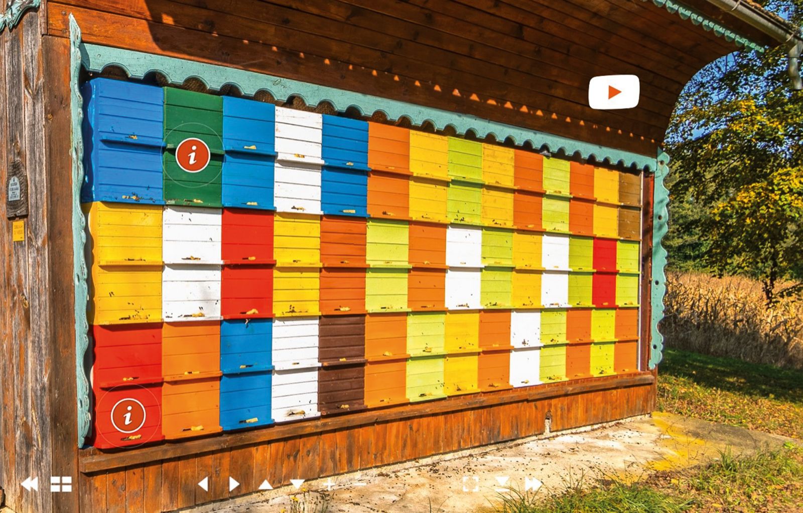 Kjer so čebele doma 