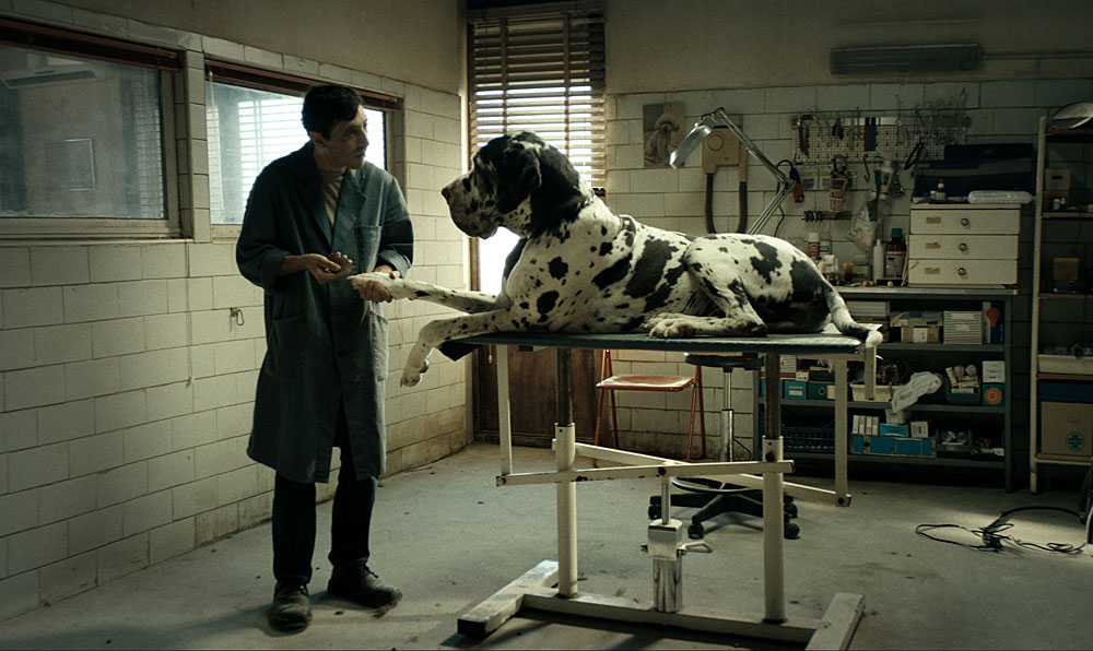 Film tedna: Dogman