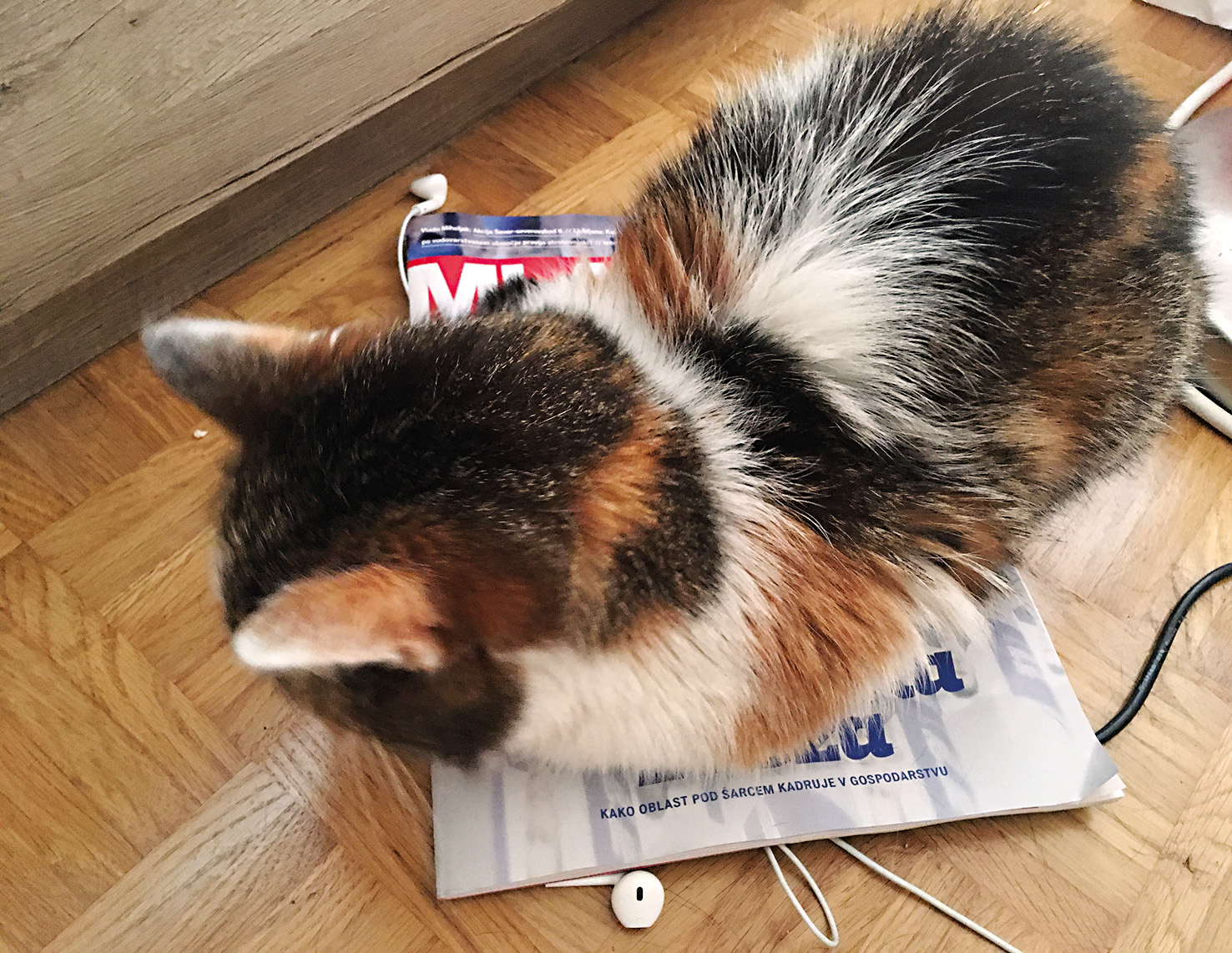 »Muca že ve« | A. G.