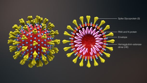 3D animacija koronavirusa