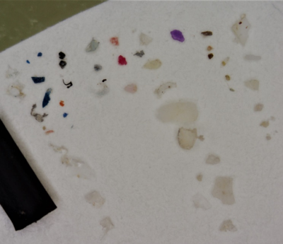 Različni primeri mikroplastike