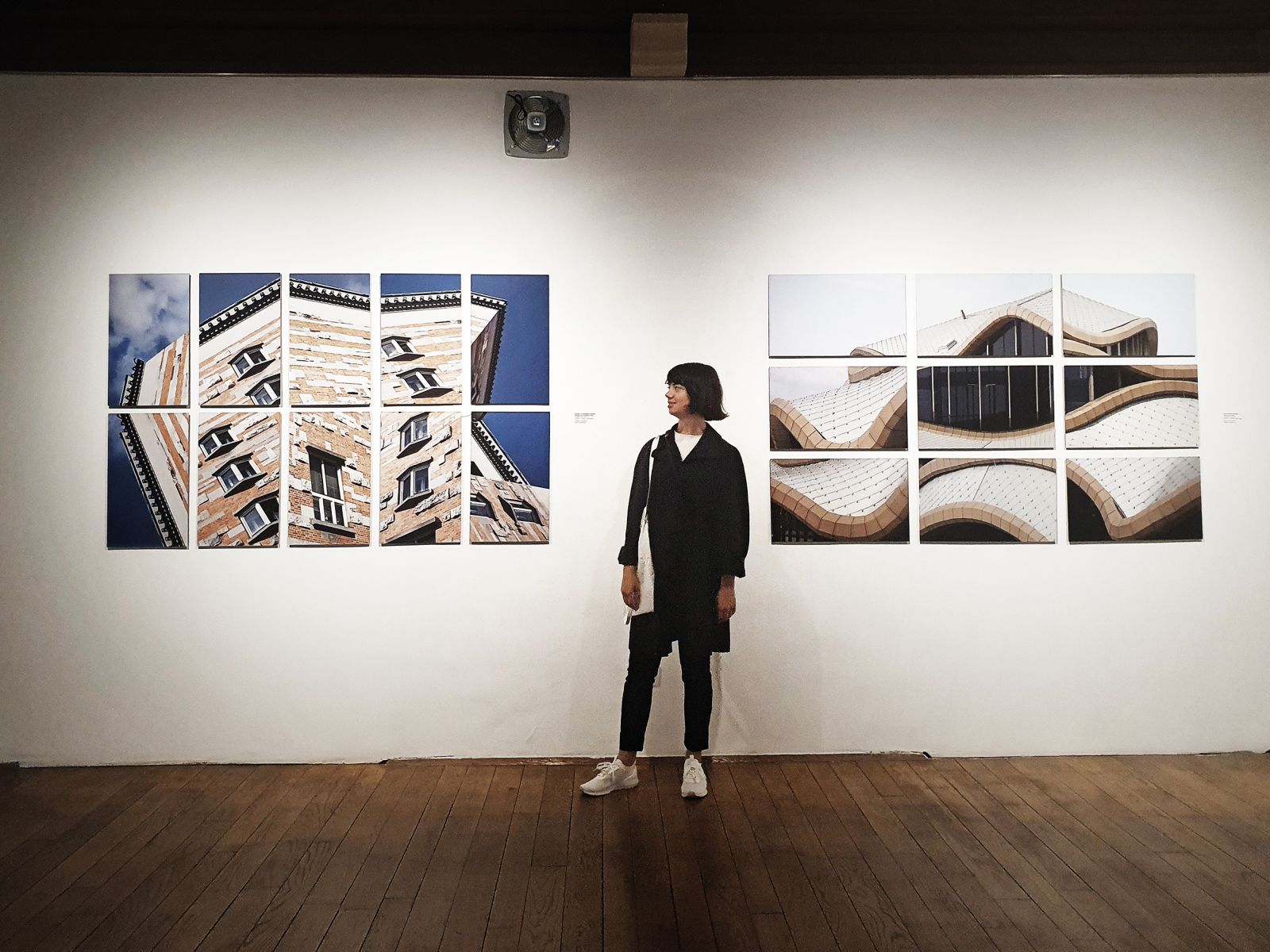 Ana Skobe pred dvema svojima poliptihoma, na prvem je rekonstruirana Narodna in univerzitetna knjižnica, na drugem športna dvorana v ljubljanskih Stožicah