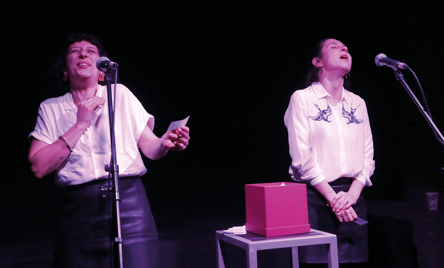 Irena Z. Tomažin in Alessandra Eramo; ZVO. ČI.TI DUO, Kino Šiška, LJ | Sunčan Stone