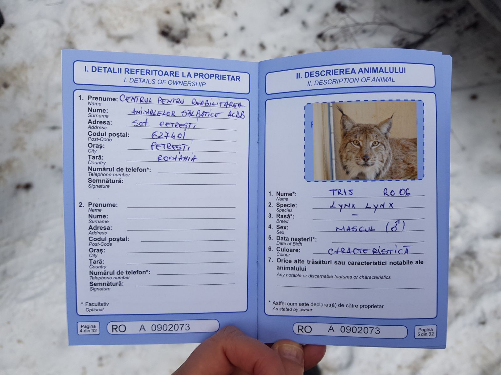 Tris ima tudi svoj potni list | Maja Sever, LIFE Lynx