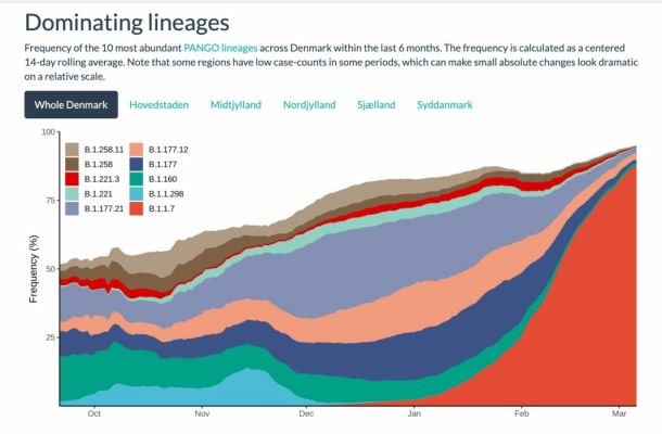 Britanska različica virusa (rdeče) postane v začetku leta 2021 dominantna na Danskem
