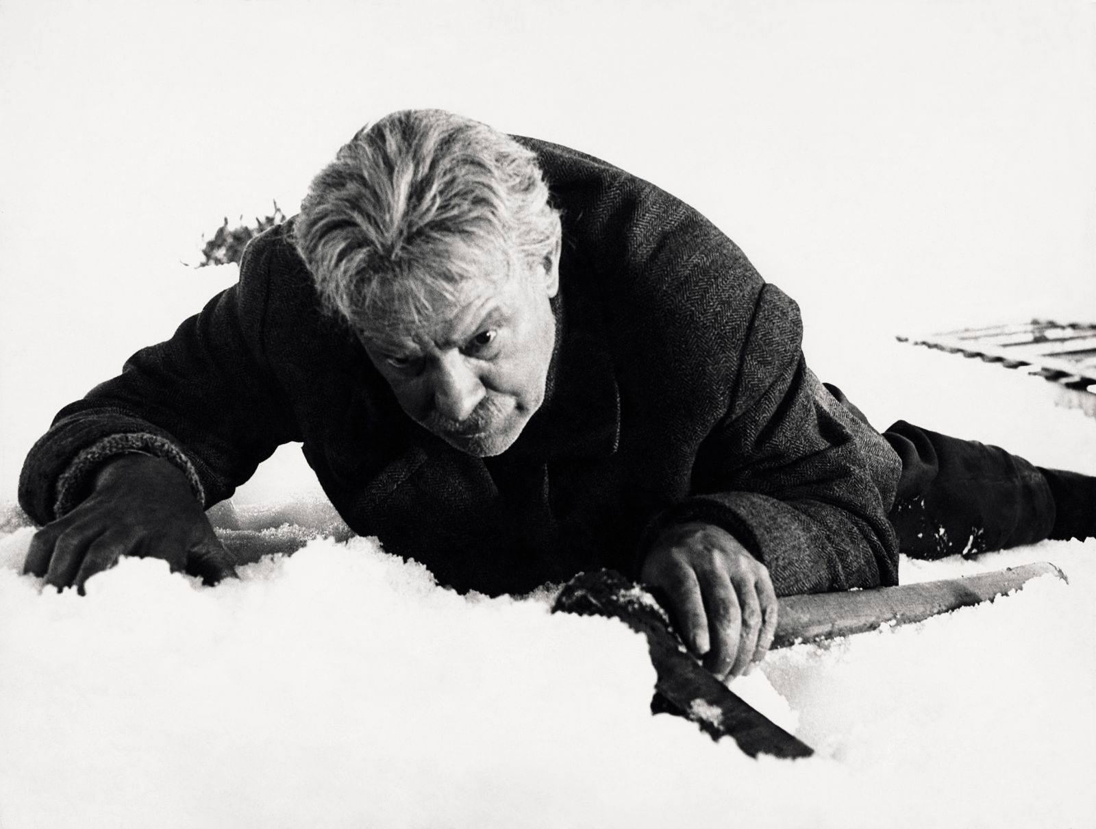 Temnikar želi preprečiti, da bi Slovence pobili Slovenci, obenem pa pusti, da Slovence pobijejo Nemci. Sam pobije Slovence, da Slovenci ne bi pobili drug drugega.