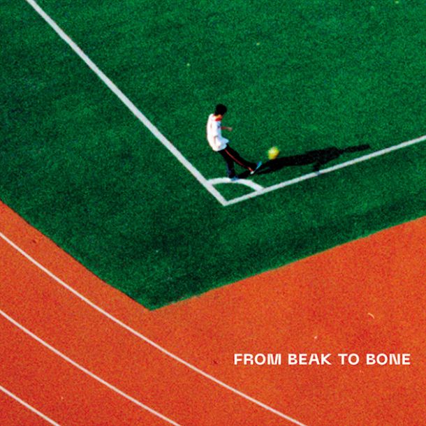 Slowmotion Livestream: From Beak To Bone