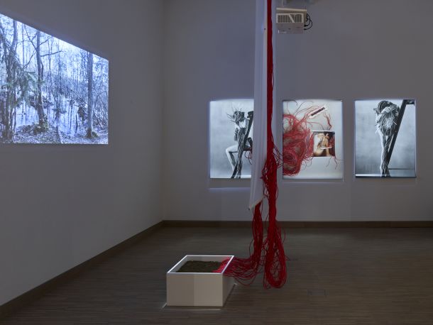 Roberta Lima, Fantomska rastlina, Ko gesta postane dogodek, Künstlerhaus Dunaj, 2020 